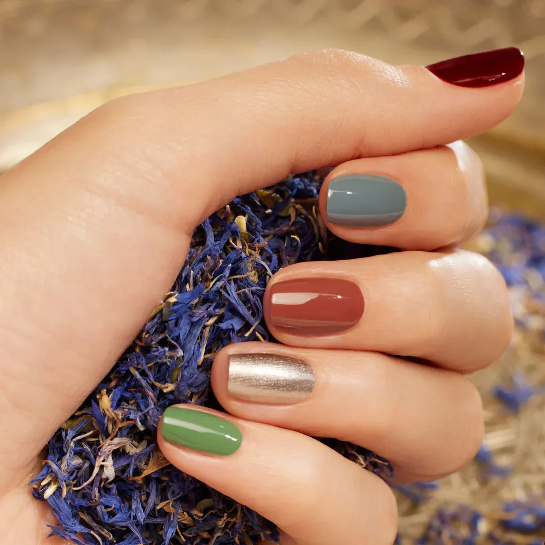 Short nails in sage, rust, gold and deep red, hand holding dried lavender